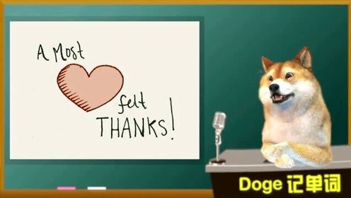 【Doge每日一词】0116 heartfelt 四级六级英语词汇
