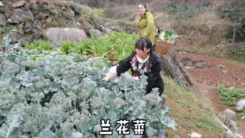 腾讯视频