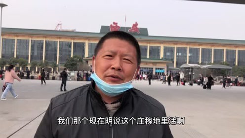 [图]武功大哥带人去新疆种棉花，管吃住月挣3000多，招不到人为啥