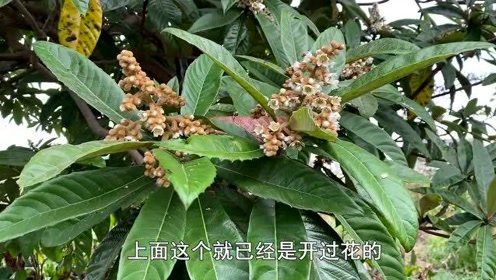 腾讯视频