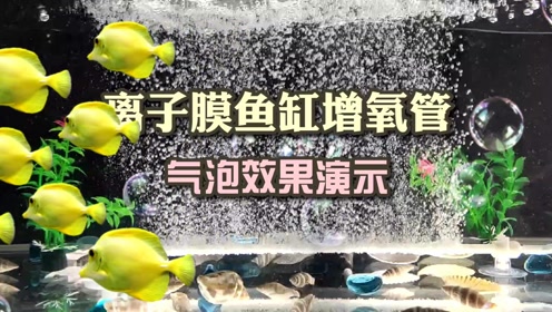 [图]鱼缸增氧“黑科技”——离子膜鱼缸增氧管！