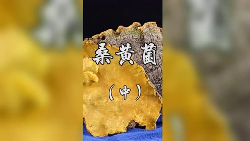 腾讯视频