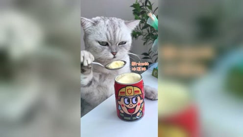 时 间:2021-07-14上传者:料理猫王0:03:56猫王《my way》演唱会版时