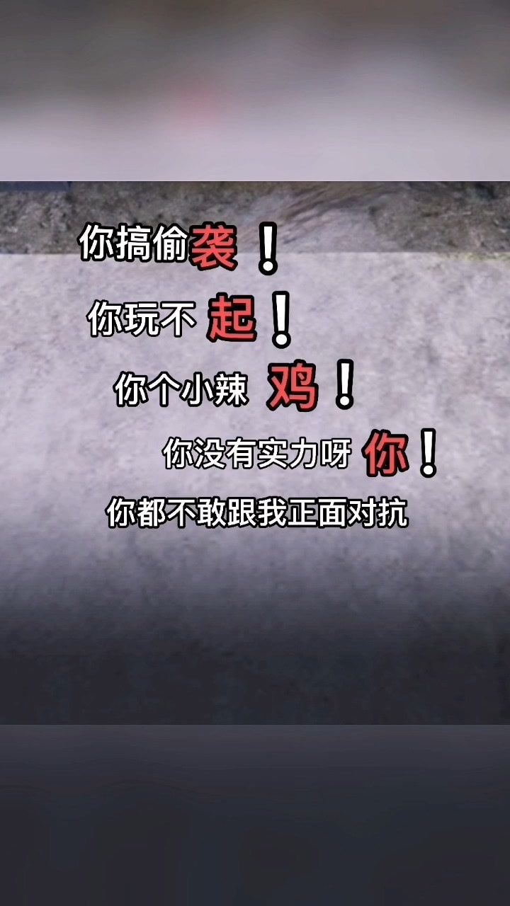 你搞偷袭!你玩不起!你个小辣鸡!
