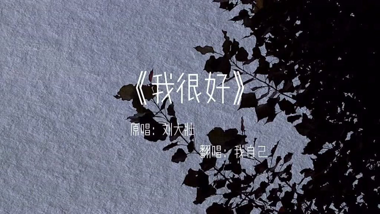 听了这首《我很好》,你还觉得自己过得好吗?