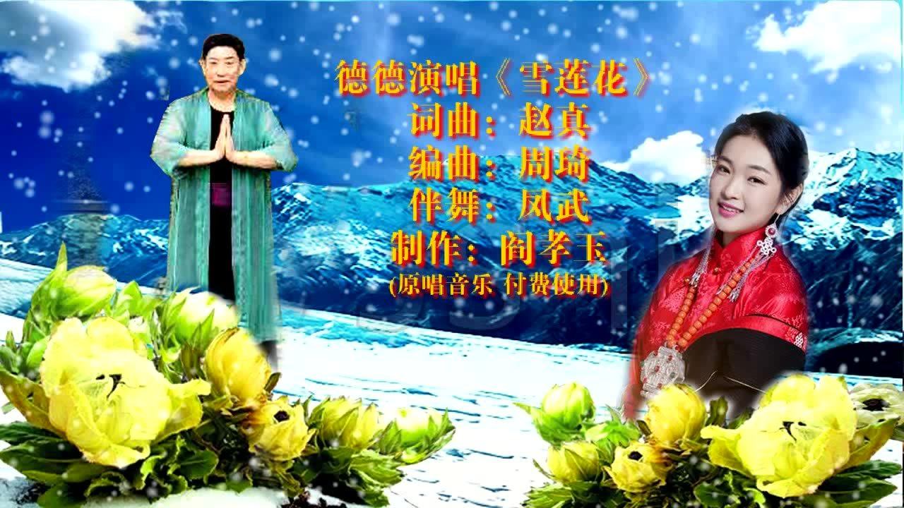 好听的藏族歌曲《雪莲花,美女歌手德德演唱北京张凤武老师伴舞