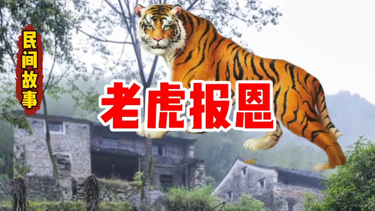 民间故事《老虎报恩》