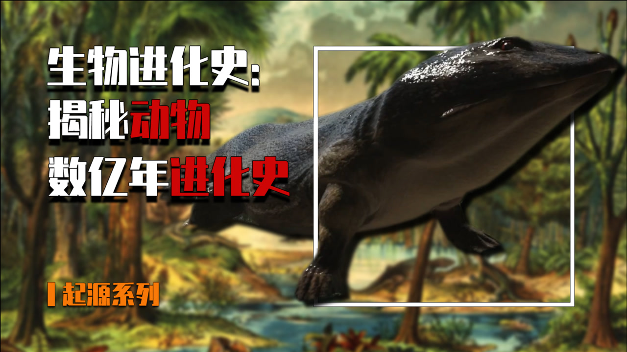 生物进化史 搜狗百科