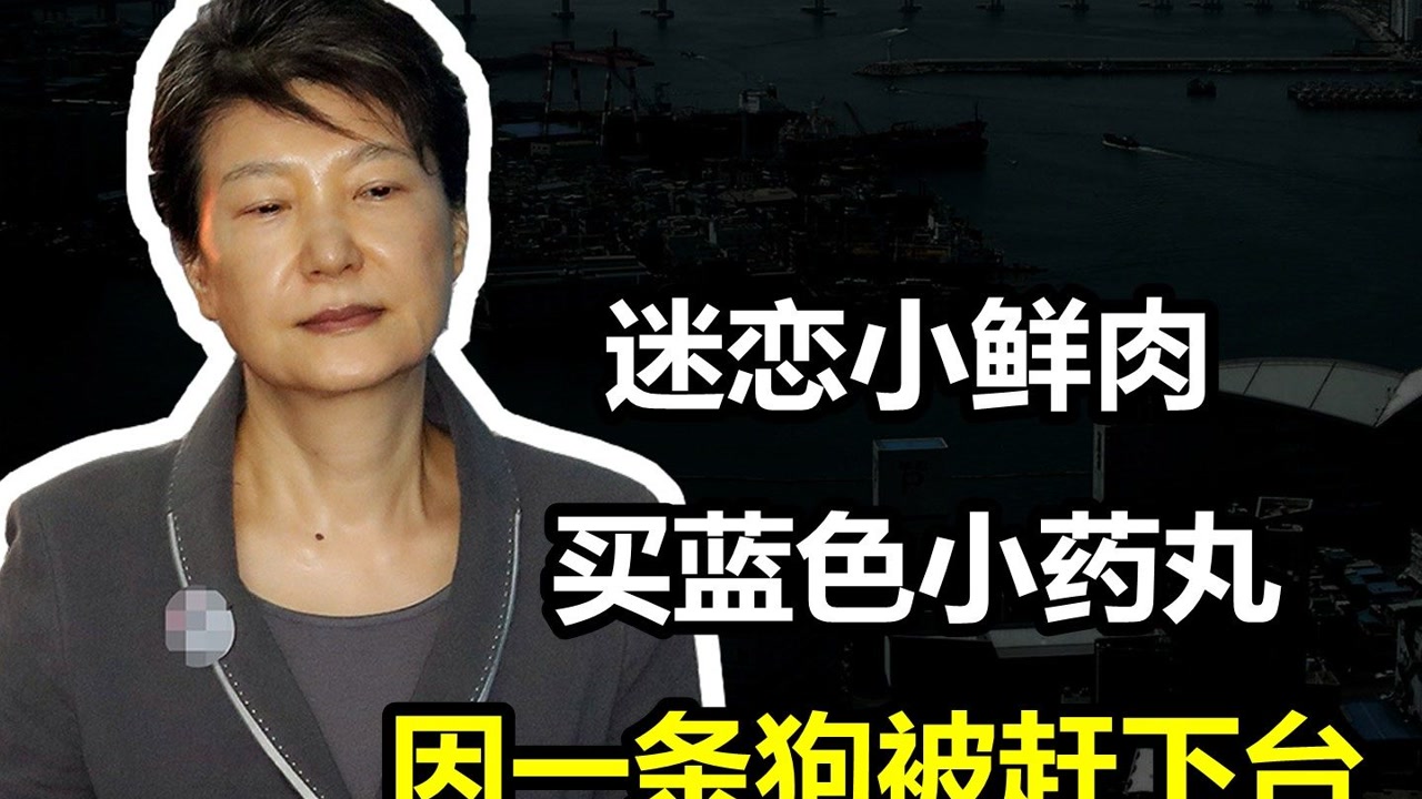 朴槿惠 韩国第18届总统 搜狗百科