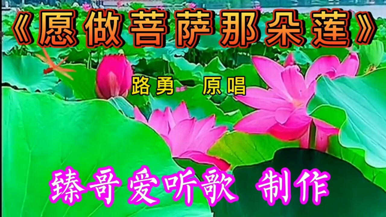 2020佛音春晚路勇愿做菩萨那朵莲