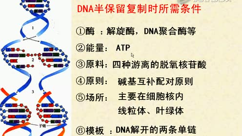 腾讯视频