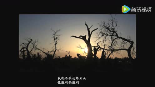 海子日记 腾讯视频