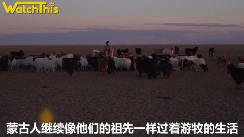 过度放牧 腾讯视频