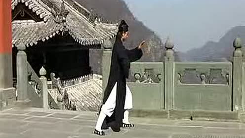 武当太极基本动作 腾讯视频