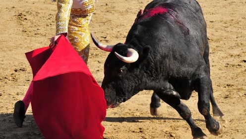 举起手来回味经典潘长江搞笑斗牛