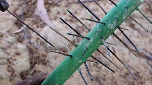 人才啊,小伙自制的捕鱼"狼牙棒",看到鱼就是一棒子