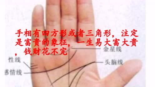 手相有四方形或者三角形 注定是富贵的象征 一生易大富大贵 腾讯视频