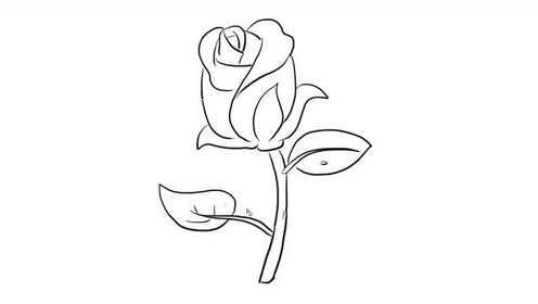 含苞待放的玫瑰花儿童亲子简笔画 宝宝轻松学画画