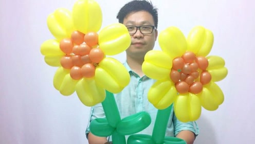 丘丘长条魔术气球免费教程之 向日葵气球造型