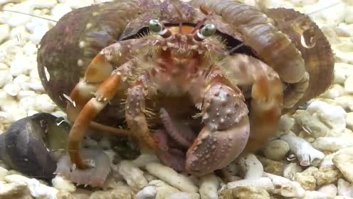 腾讯视频