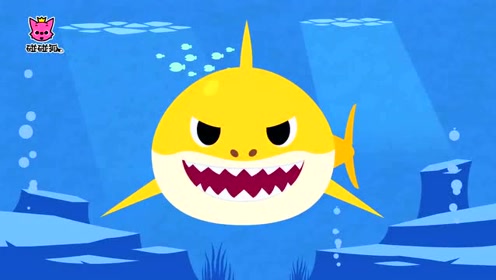 鲨鱼宝宝体操