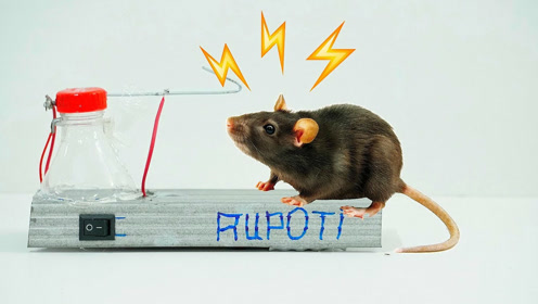 小伙发明超缺德的捕鼠器,直接用电击,真是不给老鼠留活路啊