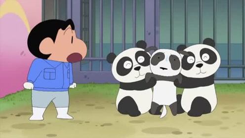 蜡笔小新新番:小新成了动物园的饲养员,新来的大熊猫好可爱!