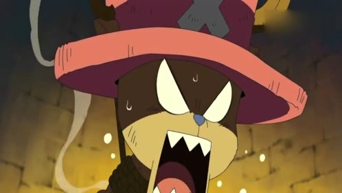 萌宠乔巴的屁股竟然被人摸了,还叫他小狸猫生气样子也好可爱