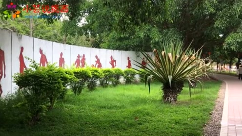 绿草如茵的揭西滨江公园也是一番美景让人忍不住停留