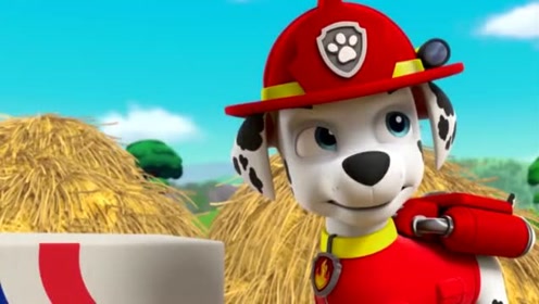 汪汪队立大功:农夫由美也收到了一个和烟火纸箱一模一样的箱子