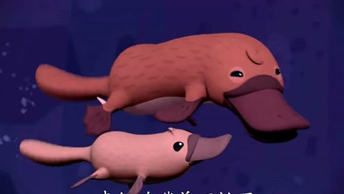 海底小纵队;鸭嘴兽为了感谢皮医生,主动去帮他找医药箱