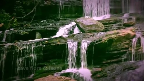 Leo Rojas Celeste è¾è®¯è§é¢' Leo rojas — watch over my dreams(перуанская флейта). è¾è®¯è§é¢'