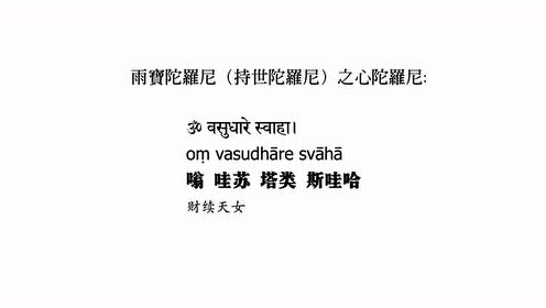 梵音雨宝陀罗尼心咒阿米达南达梵语 腾讯视频