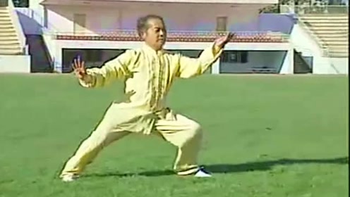 武当太极拳48式 腾讯视频