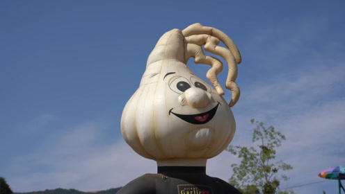 美国加州大蒜节,隔着屏幕都能闻到一股蒜味,这味道你爱了吗?