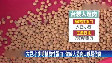 台湾研发出植物“未来肉”，口感就跟真肉一样