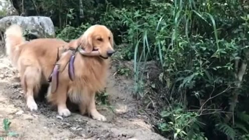 茄子水 腾讯视频