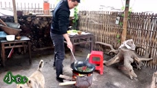 湖南人最能吃辣椒,2斤辣椒,下完2碗饭,看着辣出一身汗