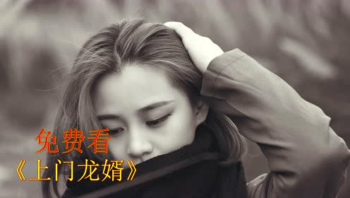 上门龙婿叶辰电视剧dvd版新章节