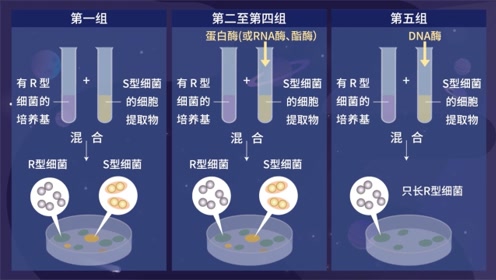 腾讯视频