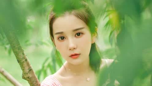 上门龙婿叶辰萧初然电视连续剧35集全,大结局