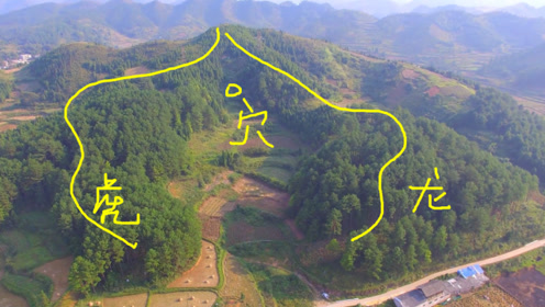 左青龙,右白虎,龙穴在后,这户人家才是独一无二的风水宝地