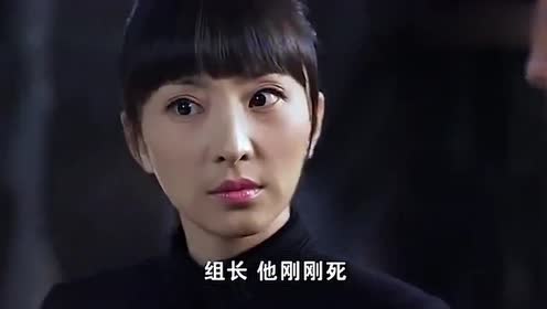 铃木美保子 腾讯视频