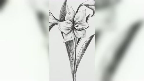素描简单 腾讯视频