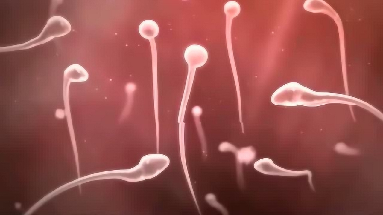 卵子受精 搜狗百科