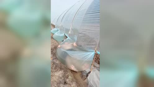 水中搞笑 腾讯视频