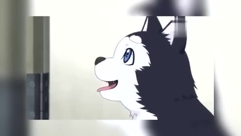 王学书和狗黑子 腾讯视频