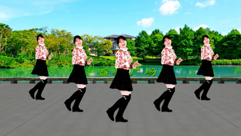 青木枯叶 腾讯视频