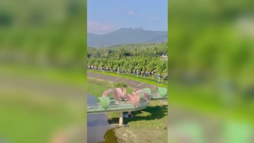 腾讯视频