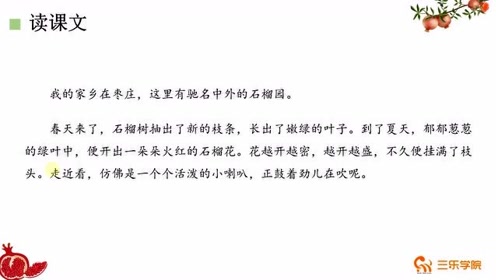 苏教版三年级语文上册5 石榴